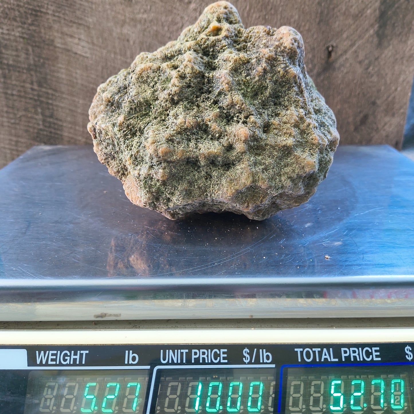 Large Kentucky Geode, Natural Unopened Crystal Geode, Collector Specimen – Fishing Creek, KY