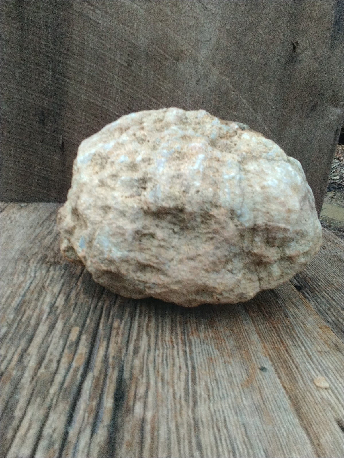 Exact Kentucky Geode, 13+ lb Unopened Natural Quartz Crystal, Crack Your Own – Fishing Creek, KY
