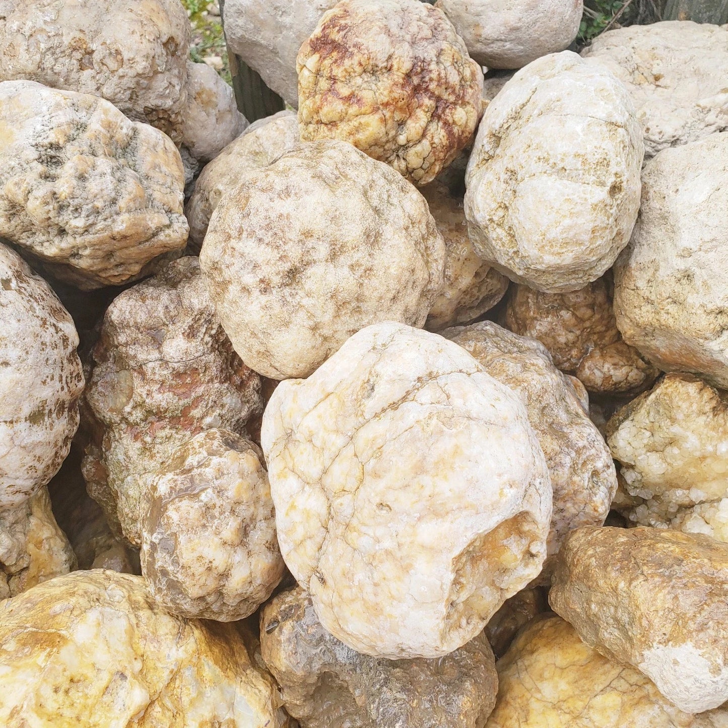 9 lb Kentucky Geode Lot of 14 - Rattler Included - Crack Your Own Crystals