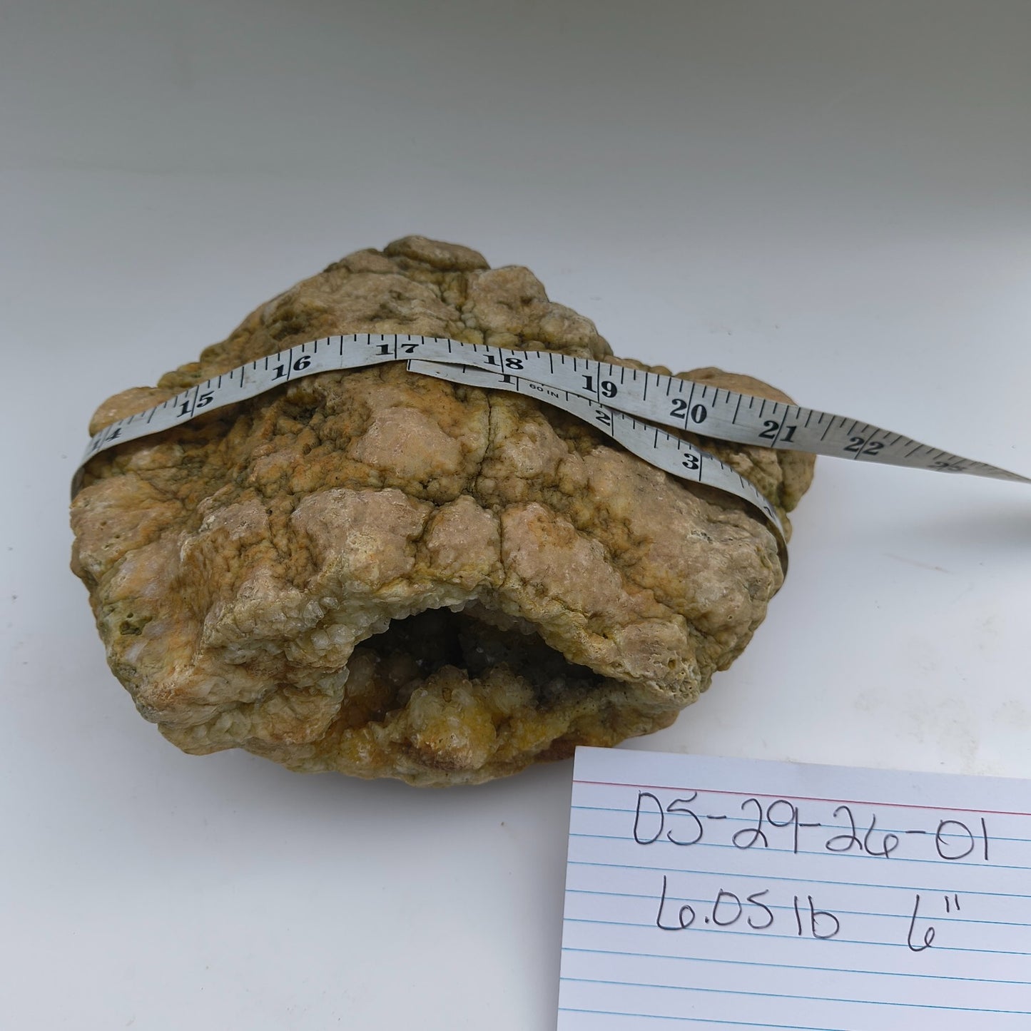 Open Face Kentucky Geode 6.16 lb Druzy Crystal Cavity