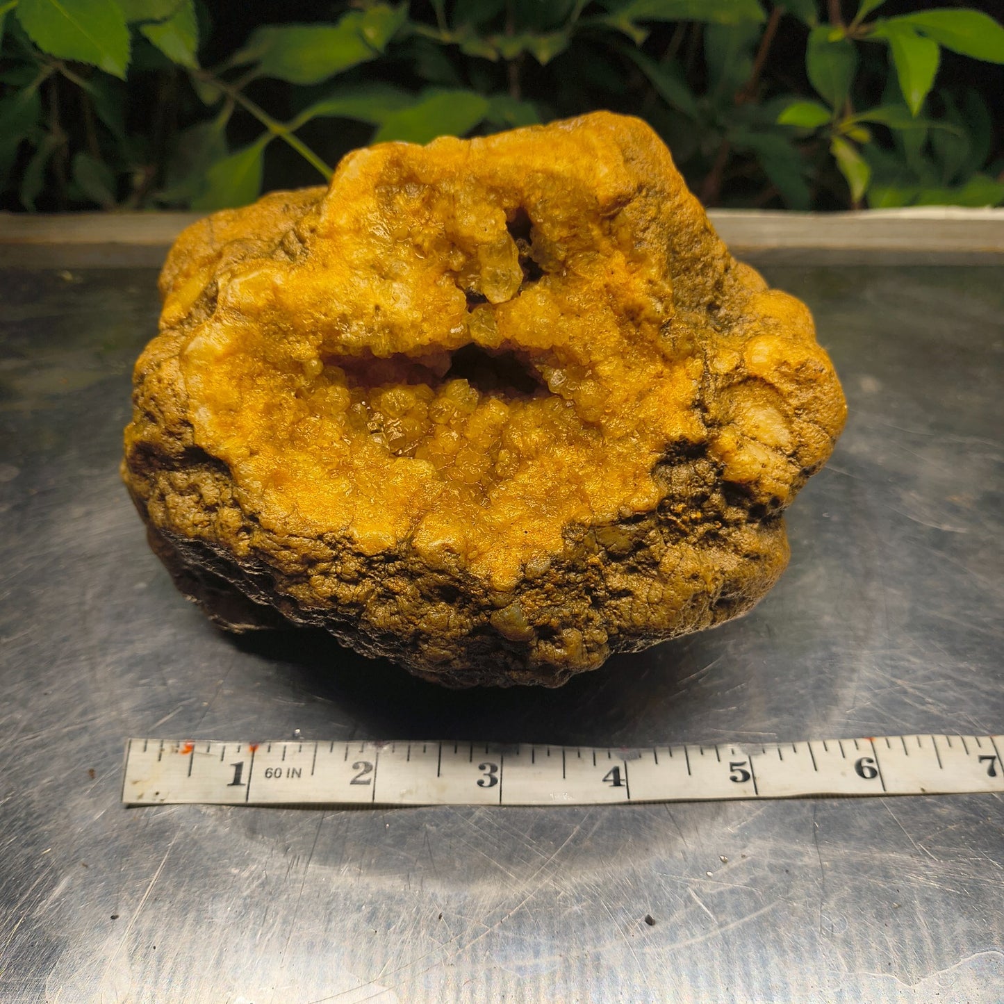 Kentucky Crystal Geode, Natural Druzy Quartz Geode, 4.53 lb Educational Specimen – Fishing Creek, KY
