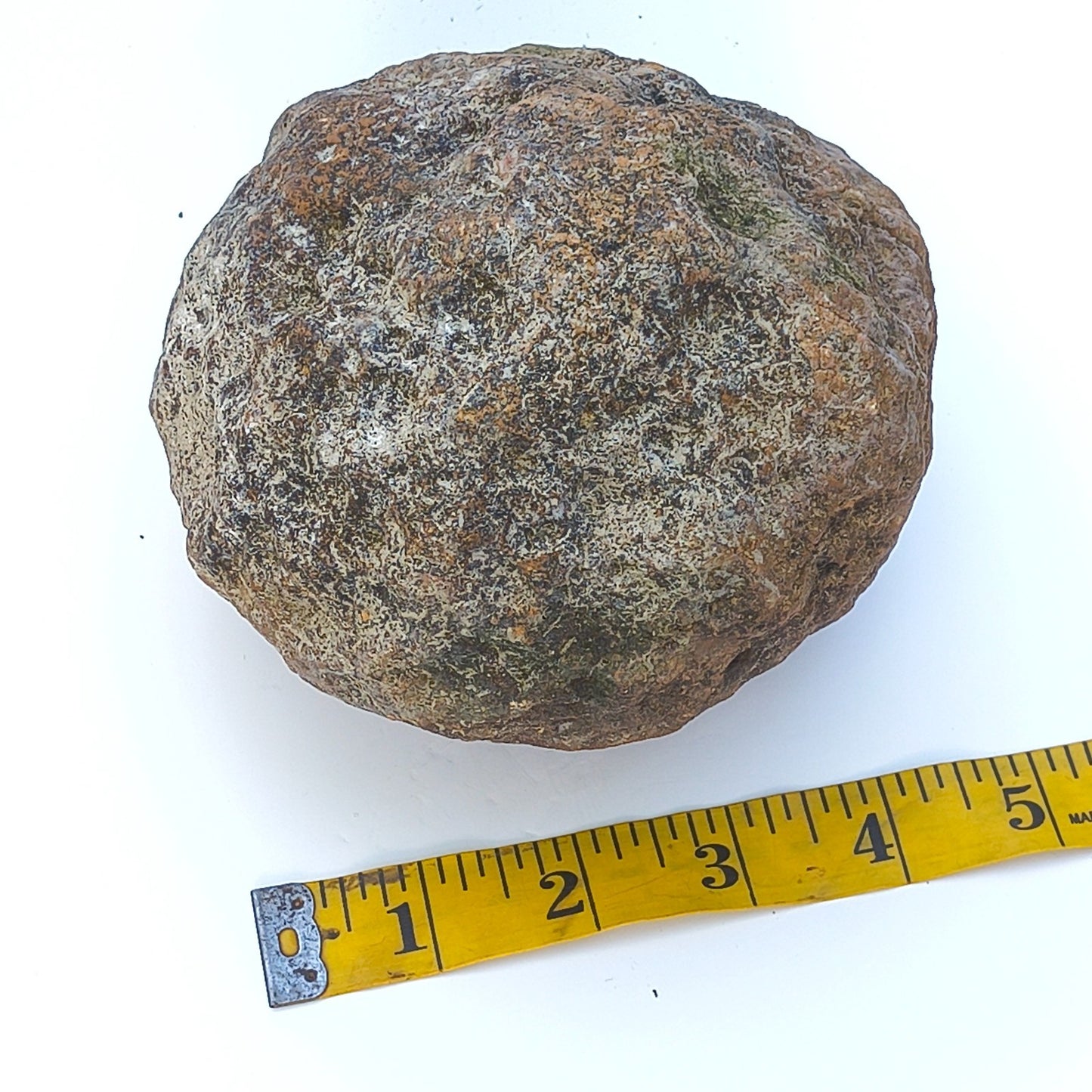 Kentucky Geode, Unopened Natural Quartz Crystal, Crack Your Own, 4lb – Fishing Creek, KY