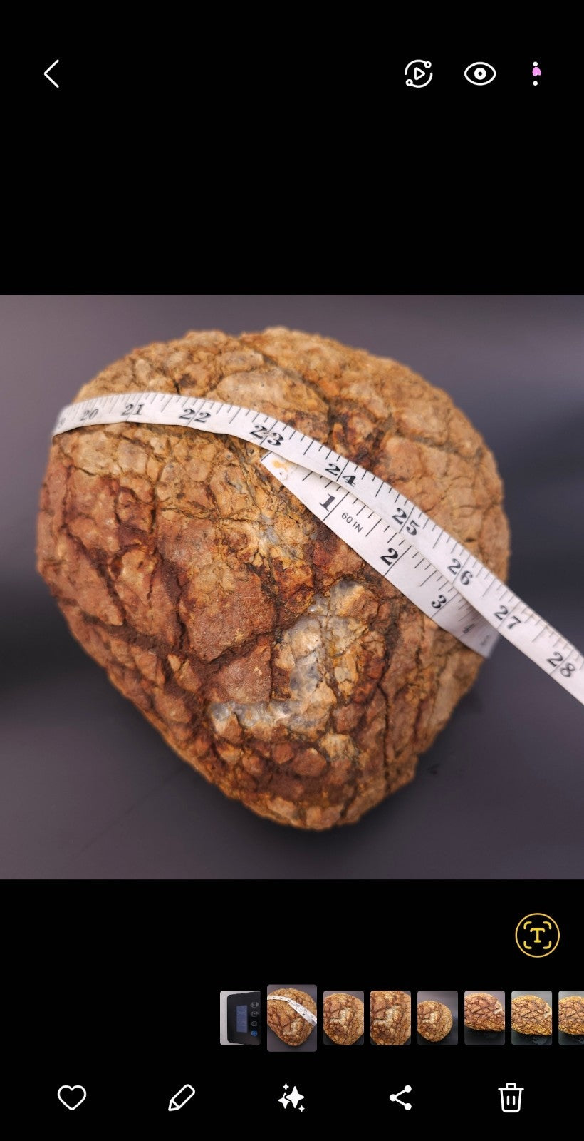 Large 12.24lb Septarian Concretion Stone, Natural Geological Specimen – Fishing Creek, KY
