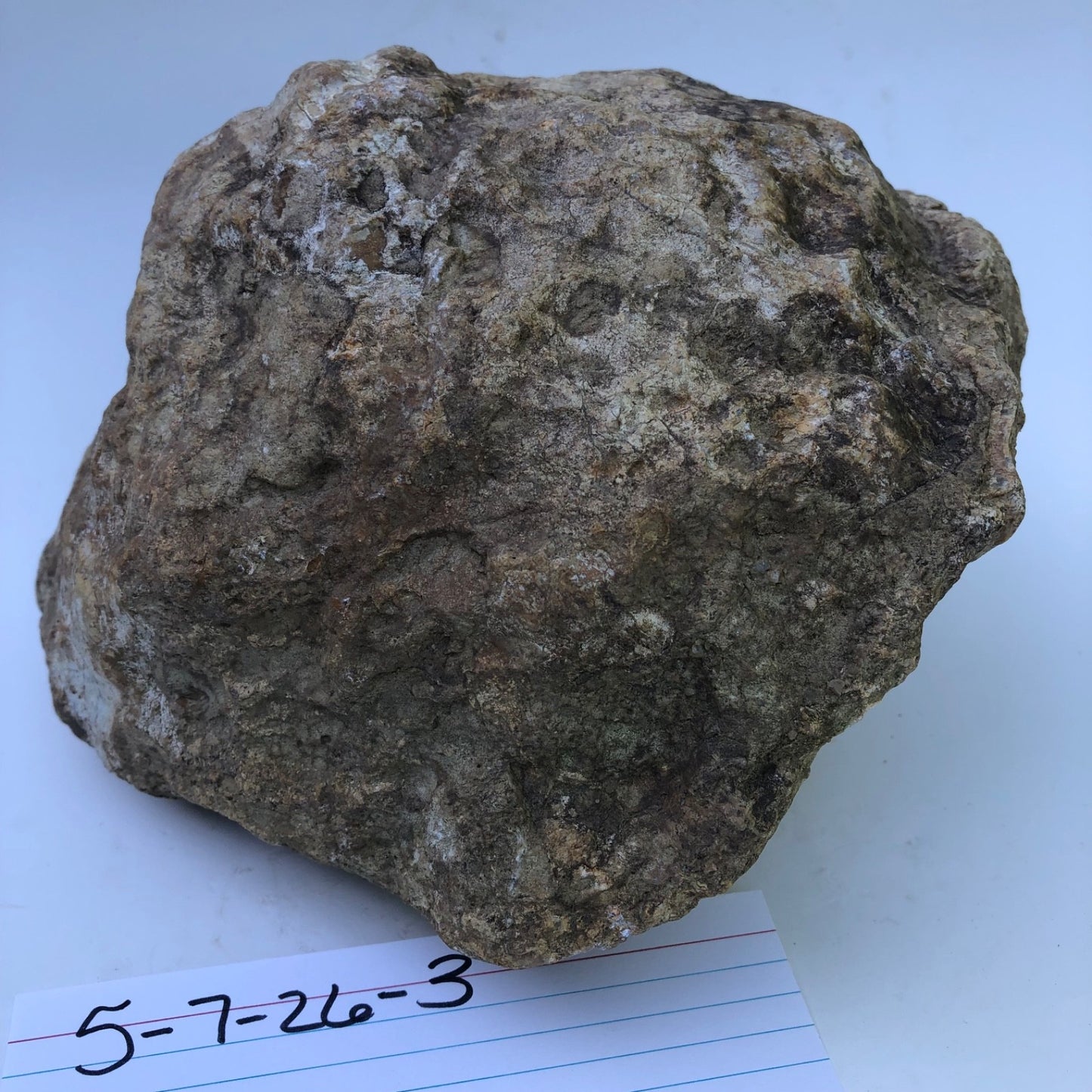 Large Kentucky Geode, 11.20 lb Unopened Natural Crystal Geode, Exact 9 Inch Specimen – Fishing Creek, KY