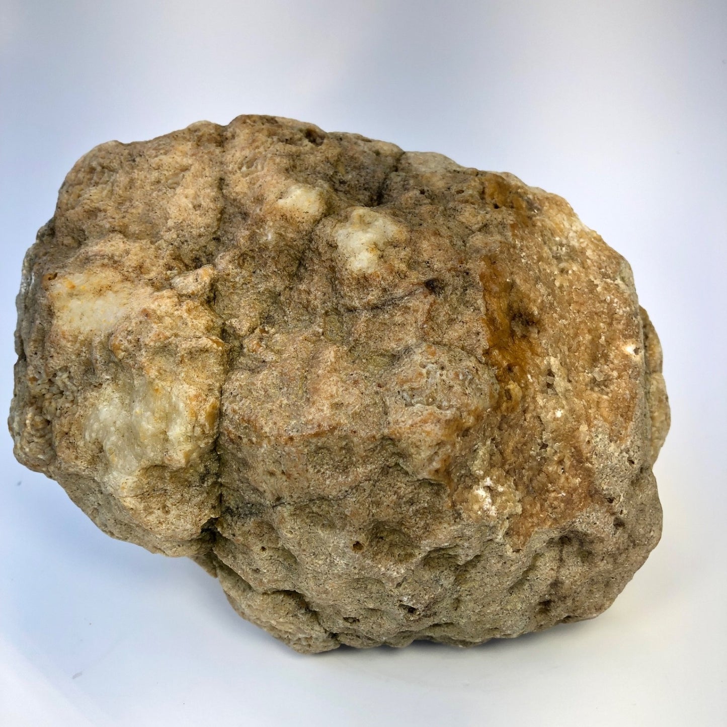 7.04 lb Natural Kentucky Geode, Whole Crystal Lined Open Pocket Display Specimen – Fishing Creek, KY