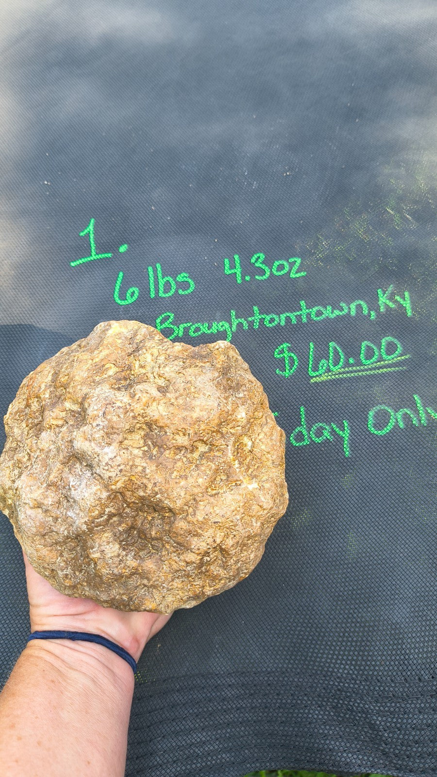 6 lb 4.3 oz Unopened Large Kentucky Geode Nodule, Natural Crystal Quartz, Lapidary – Fishing Creek, KY
