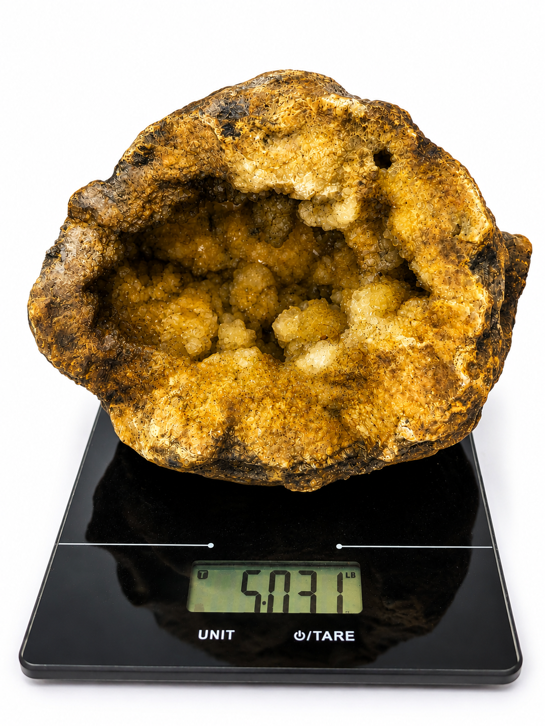 5 lb 3 oz Open KY Geode, Golden Crystal Cavity, Large Display Specimen, Collectible – Fishing Creek, KY