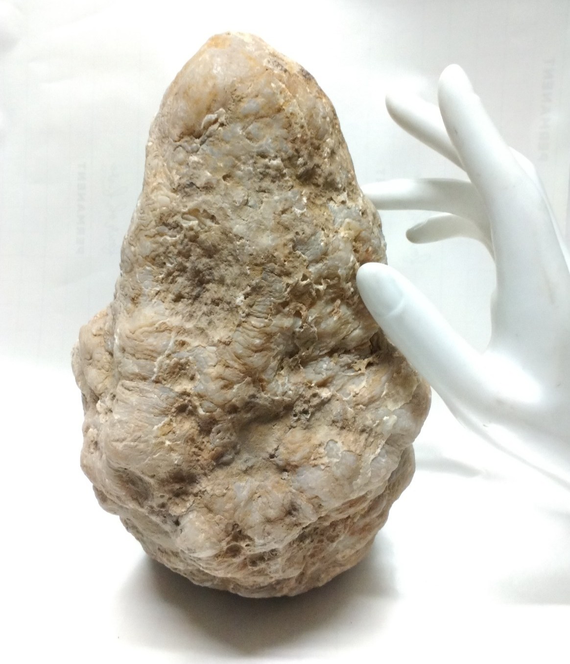 Kentucky Whole Geode, Natural Unopened Crystal Nodule, 7.74 lb, Exact Stone – Fishing Creek, KY
