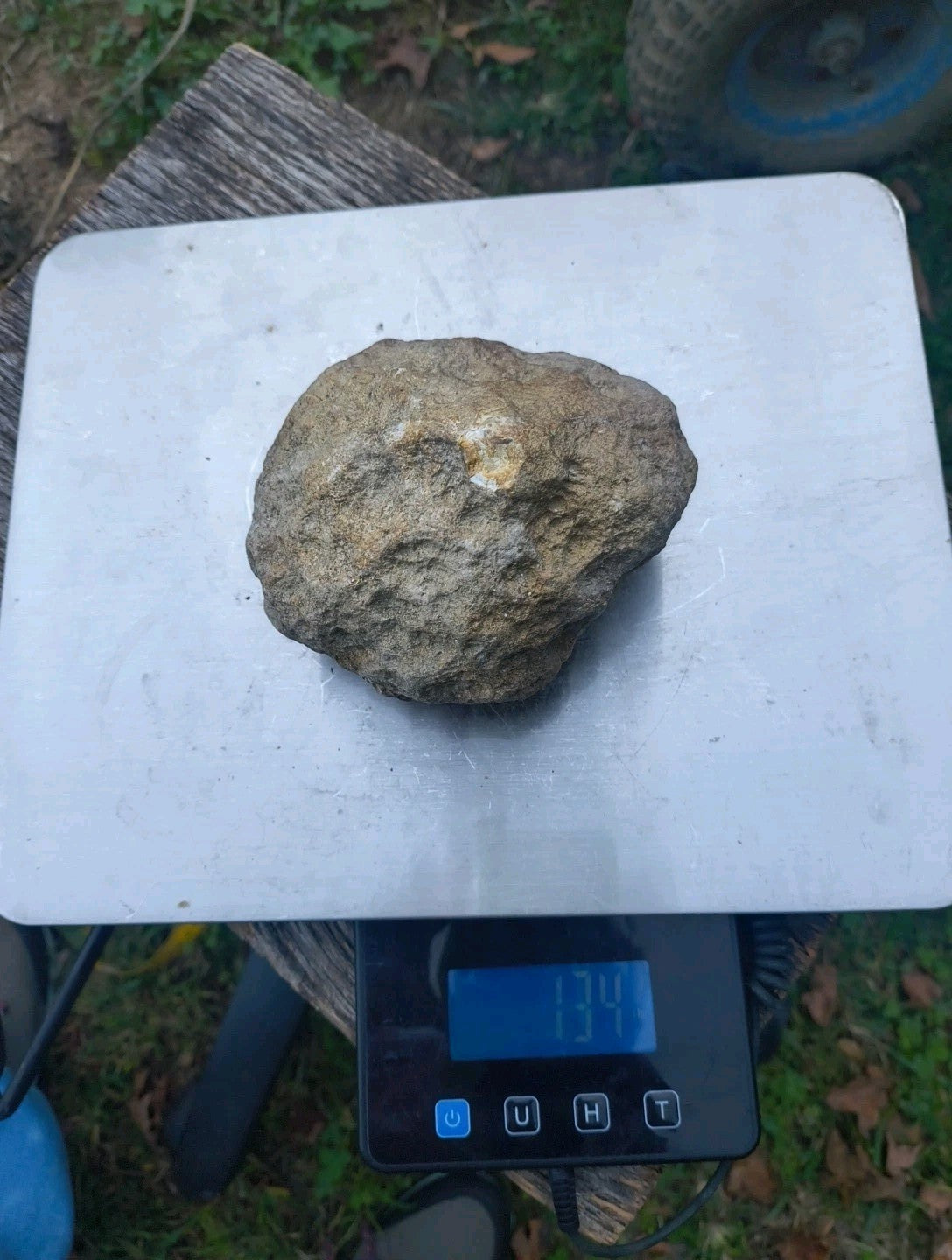 2+ lb Large Unopened Kentucky Geode, 3-5 Inch, Break Your Own Quartz Crystal – Fishing Creek, KY