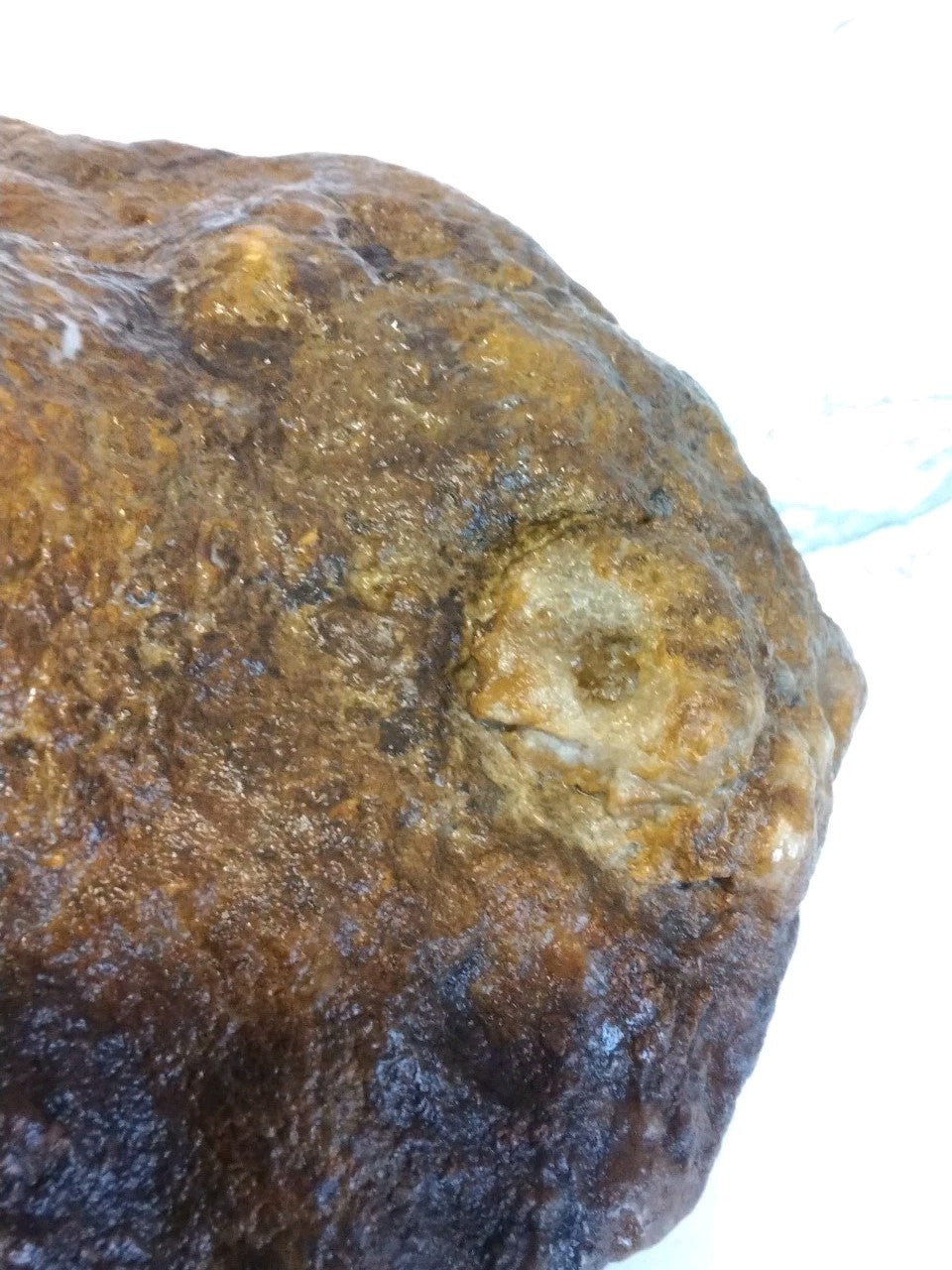 Huge 7 Inch Unopened Kentucky Geode, 6.8lb Natural Quartz Crystal Nodule, Uncut Stone – Fishing Creek, KY