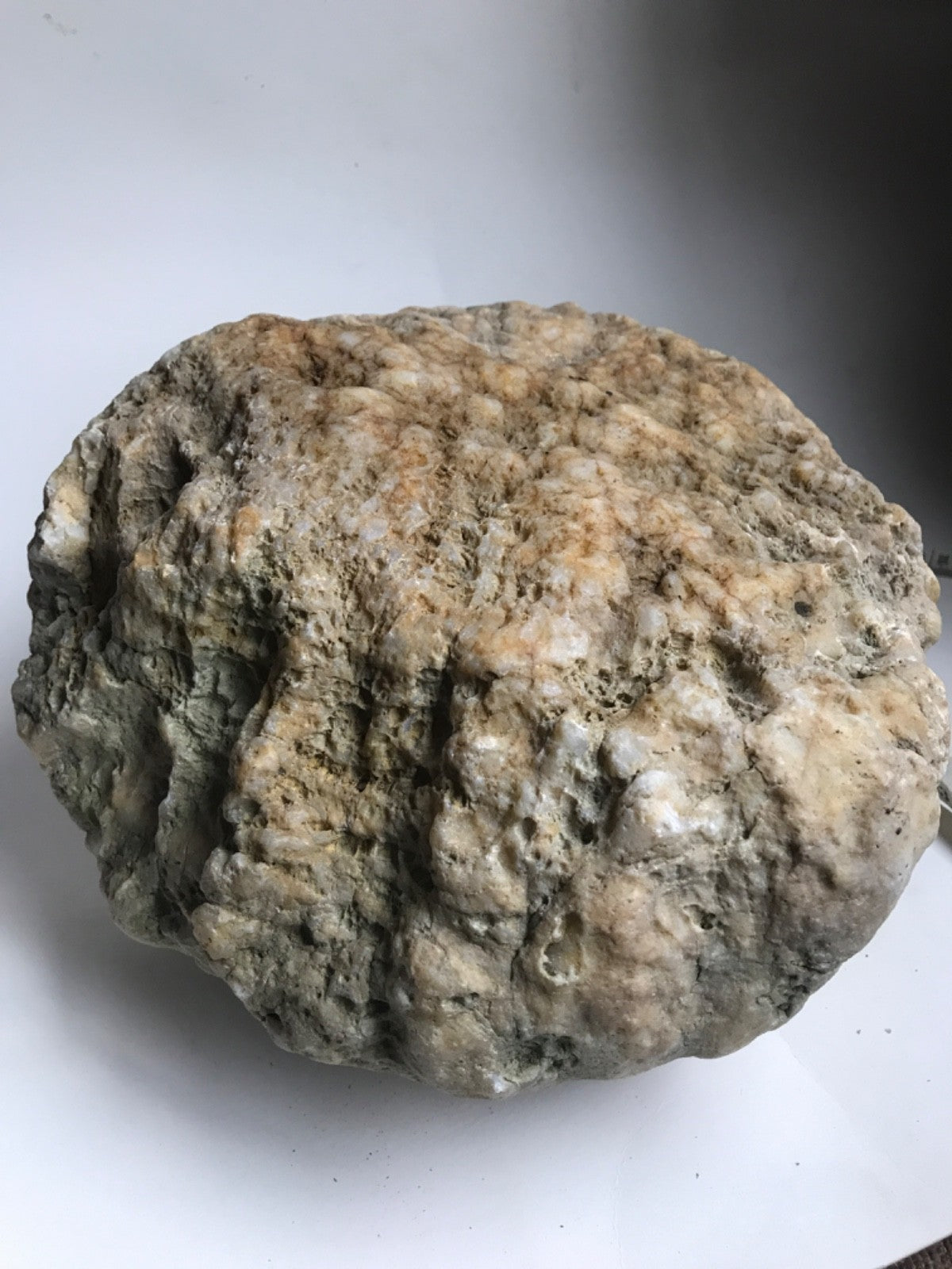 20 lb Kentucky Geode, Exact Unopened Natural Quartz Crystal, Crack Your Own – Fishing Creek, KY