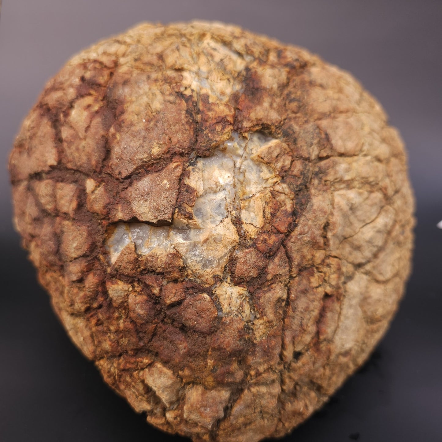 Large 12.24lb Septarian Concretion Stone, Natural Geological Specimen – Fishing Creek, KY