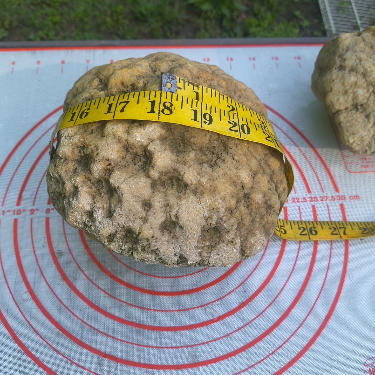 9.25 lb Unopened Large Geode Nodule, Natural Kentucky Crystal Quartz, Uncut – Fishing Creek, KY