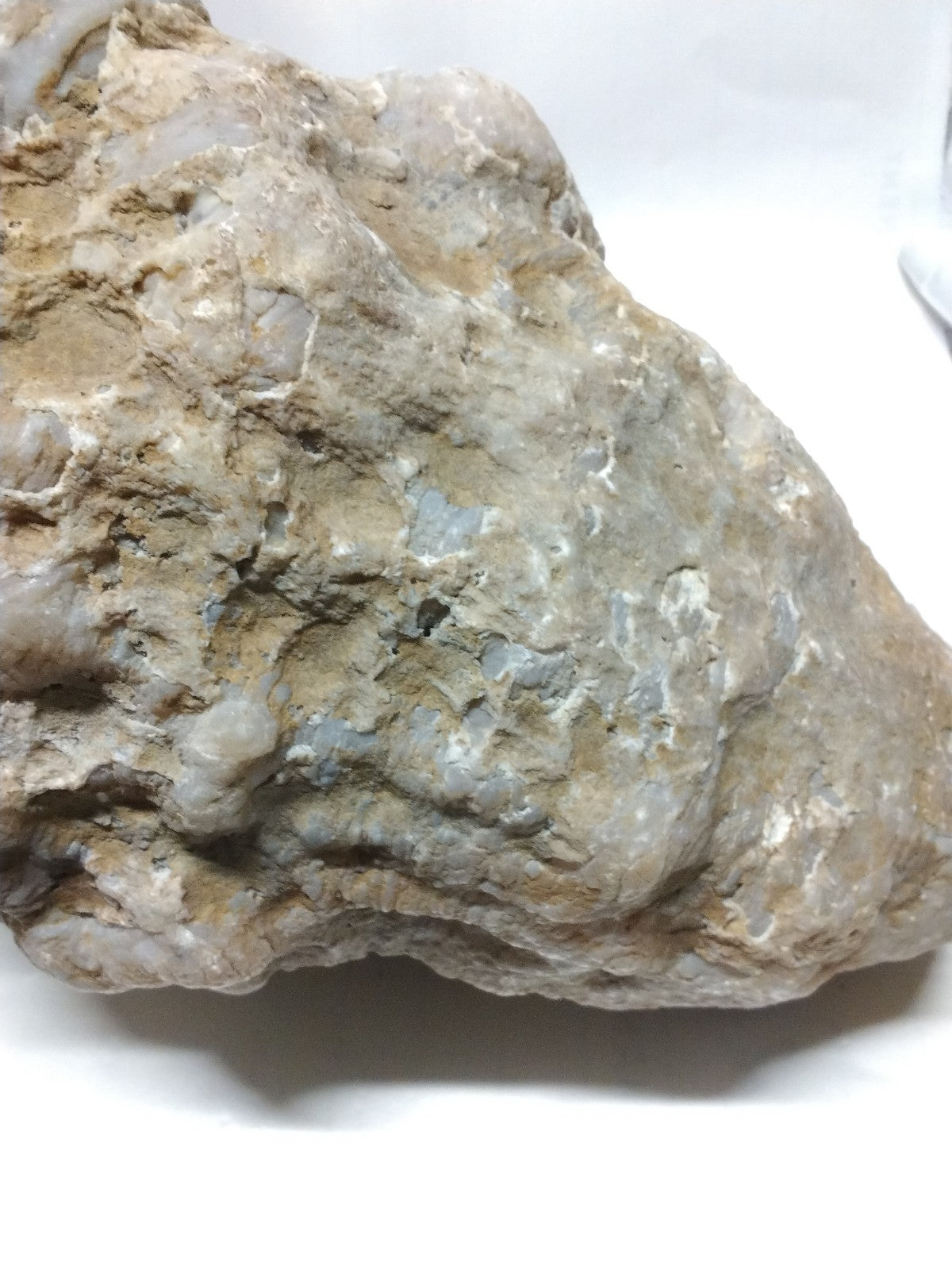Kentucky Whole Geode, Natural Unopened Crystal Nodule, 7.74 lb, Exact Stone – Fishing Creek, KY