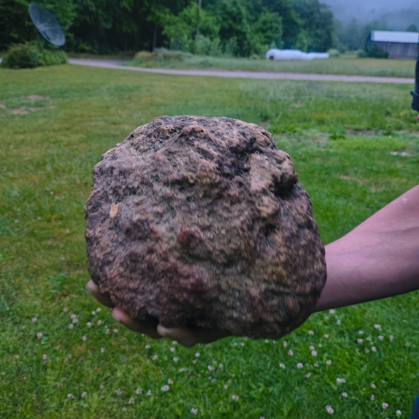 20.6 lb Unopened Kentucky Geode, Break Your Own Large Quartz Crystal, Hand Picked – Fishing Creek, KY