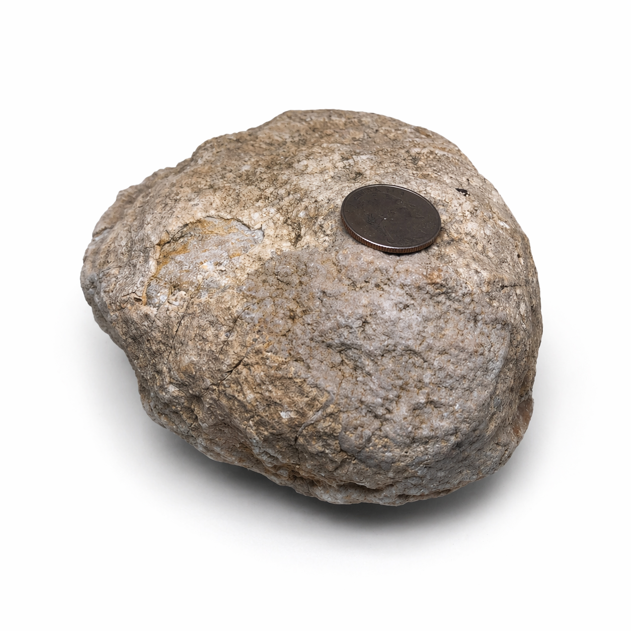 4.12 lb Kentucky Rattler Geode, Whole Unopened Exact Item, Natural Uncut – Fishing Creek, KY