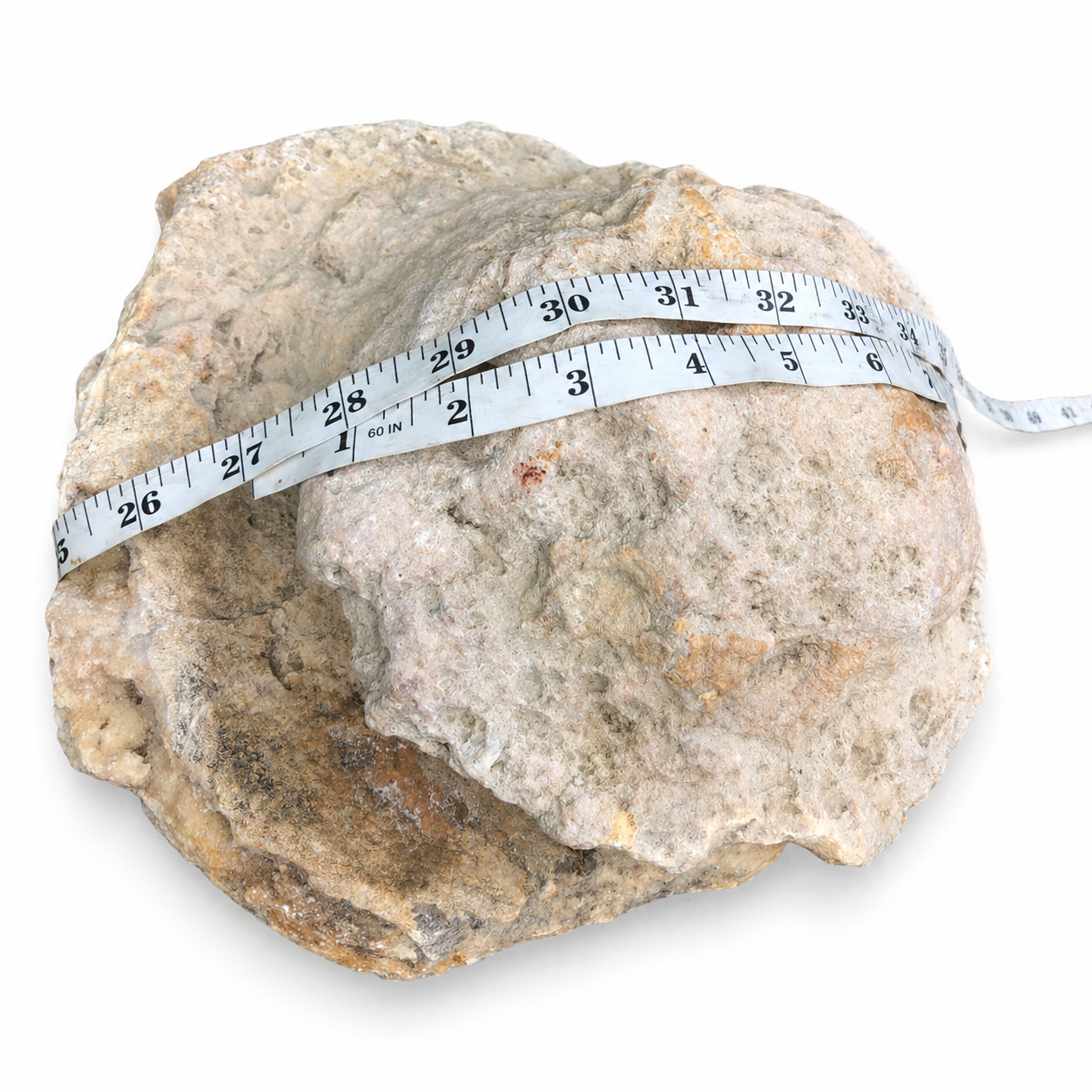 28.4 lb Large Natural Kentucky Geode, Whole Unopened Display Specimen – Fishing Creek, KY