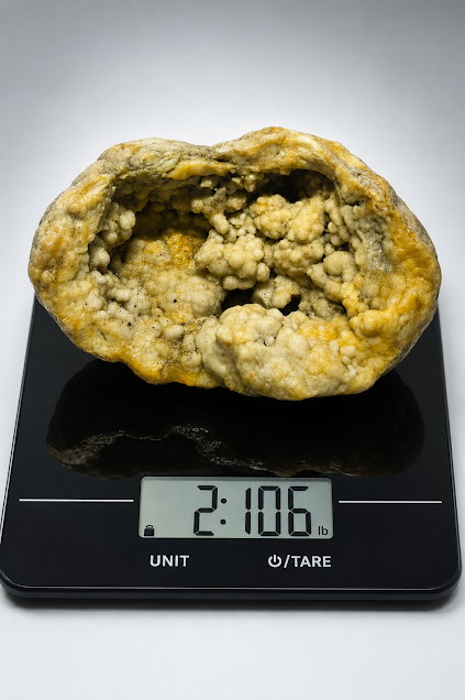 2.1 lb Open Kentucky Geode Half, Rare Botryoidal Crystal Display Specimen – Fishing Creek, KY