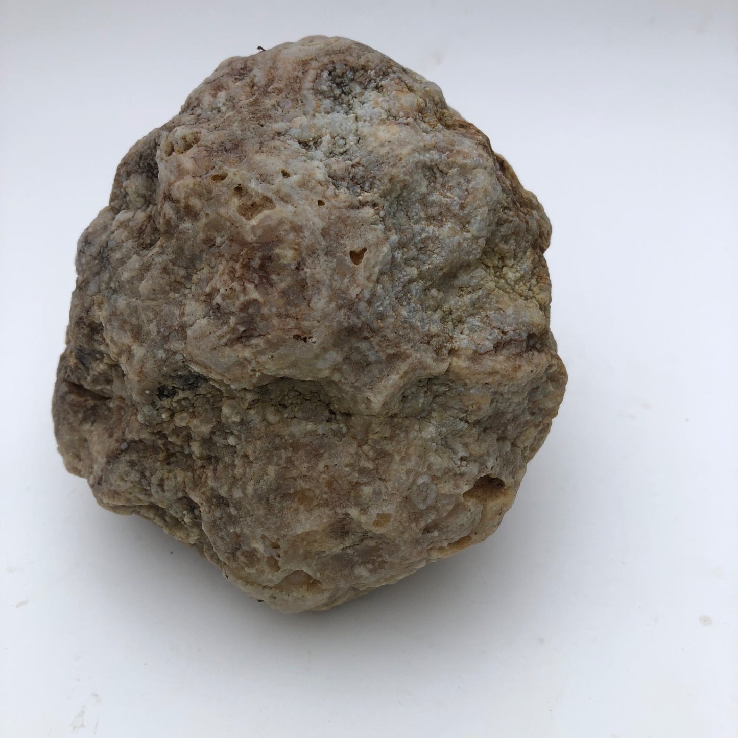 2.5 lb Kentucky Geode Rattler, Whole Natural Crystal Specimen, 5 Inch – Fishing Creek, KY