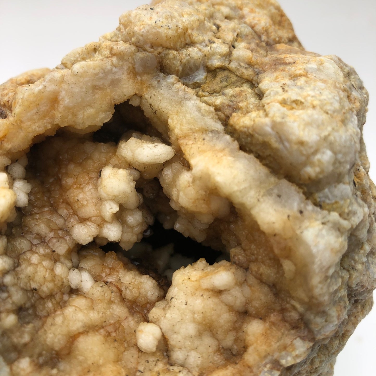 2.5 lb Kentucky Geode Rattler, Whole Natural Crystal Specimen, 5 Inch – Fishing Creek, KY