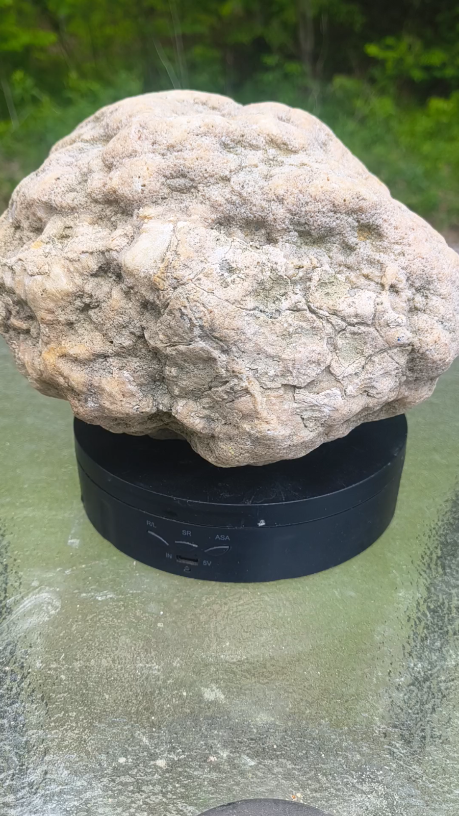 Kentucky Geode, Unopened Natural Quartz Crystal, Crack Your Own, 11.71 lb – Fishing Creek, KY