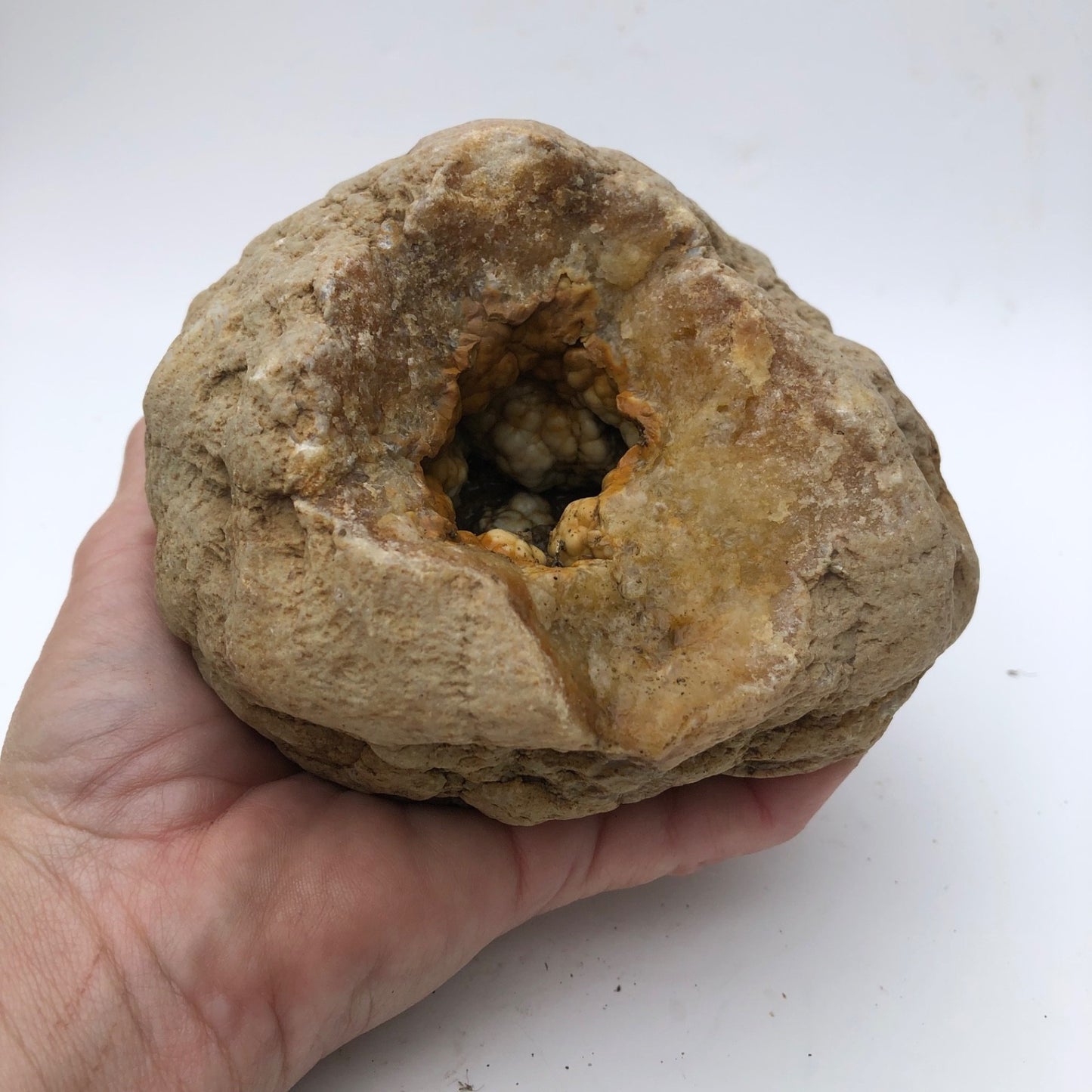 3.68 lb Open Face Kentucky Geode, Chalcedony Botryoidal Quartz, Exact Specimen – Fishing Creek, KY