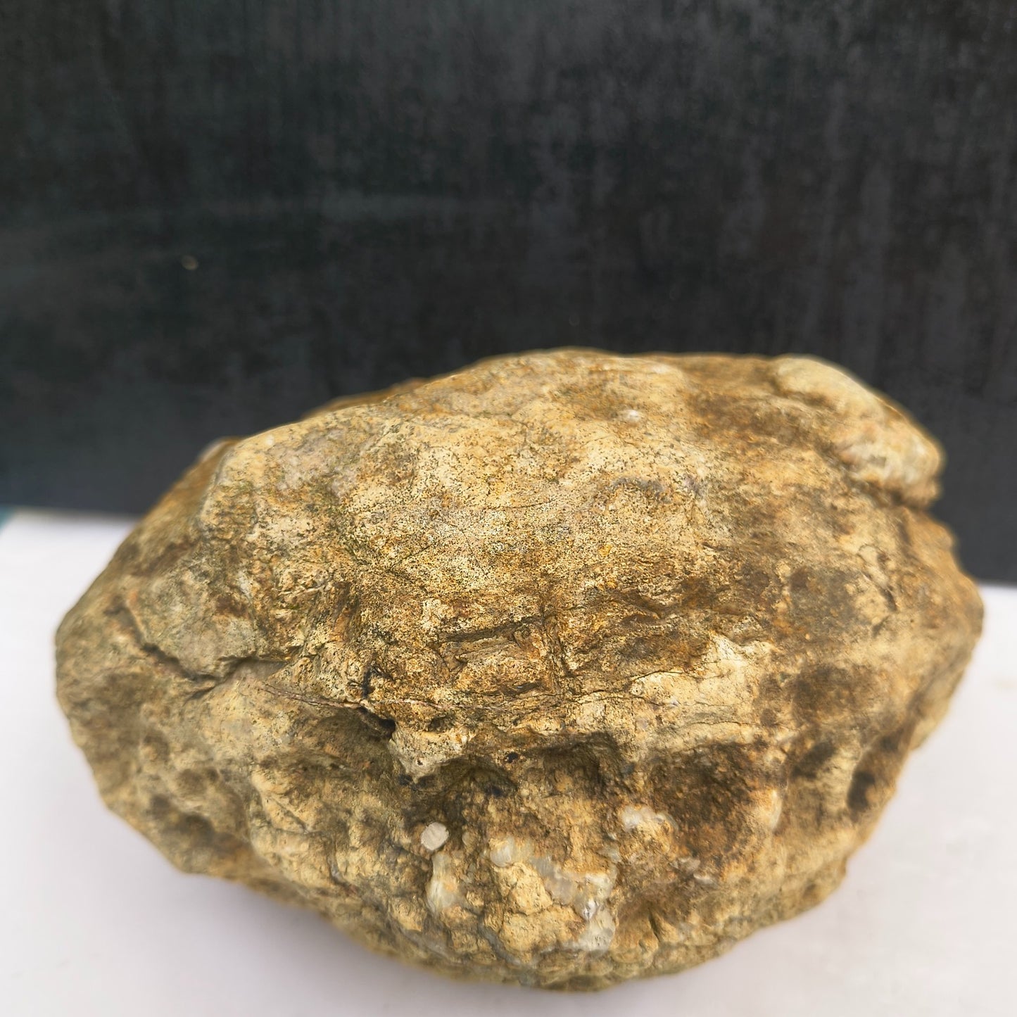 4.44 lb Kentucky Geode, Unopened Exact Specimen, Natural Whole Geode – Fishing Creek, KY