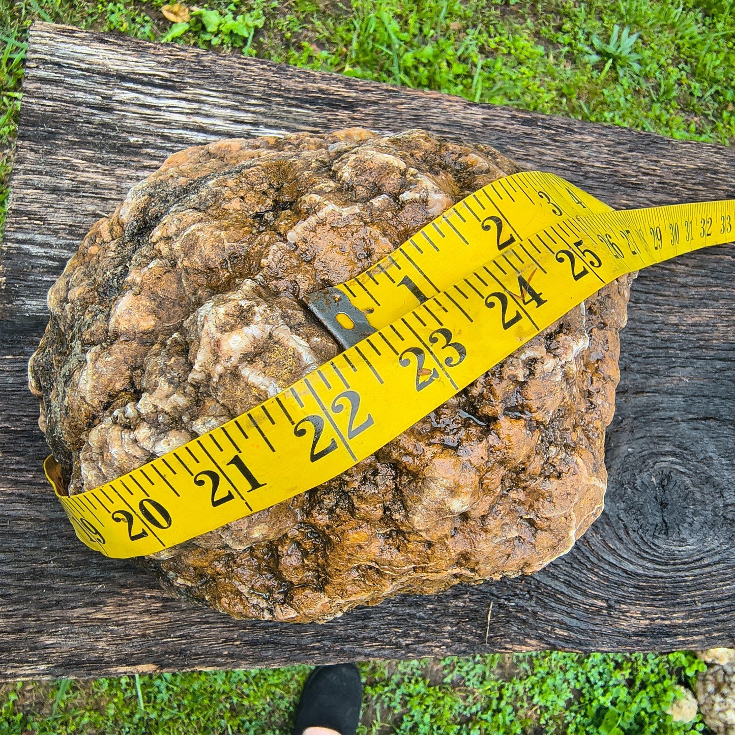 Large Kentucky Geode, Natural Unopened Crystal Geode, Collector Specimen – Fishing Creek, KY
