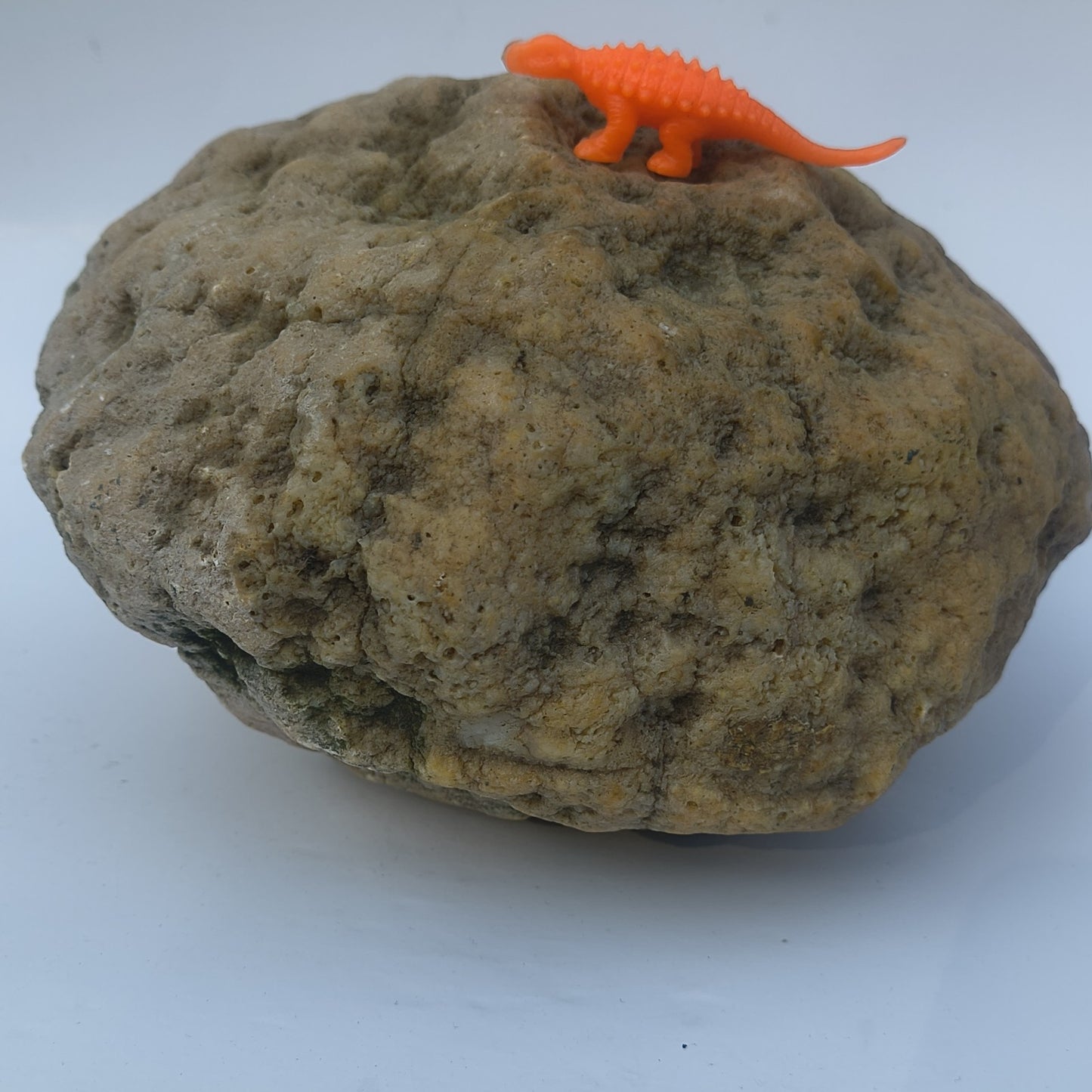 9.25 lb Unopened Large Geode Nodule, Natural Kentucky Crystal Quartz, Uncut – Fishing Creek, KY