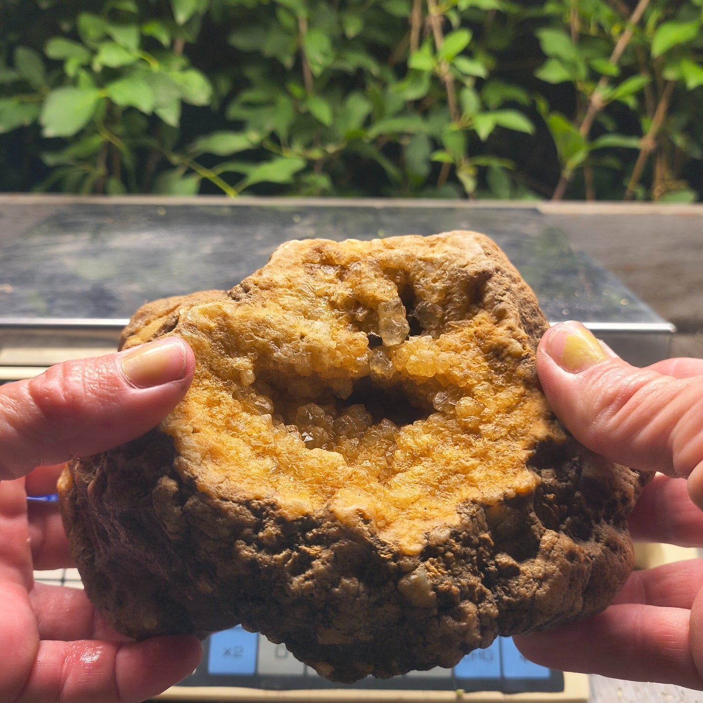 Kentucky Crystal Geode, Natural Druzy Quartz Geode, 4.53 lb Educational Specimen – Fishing Creek, KY