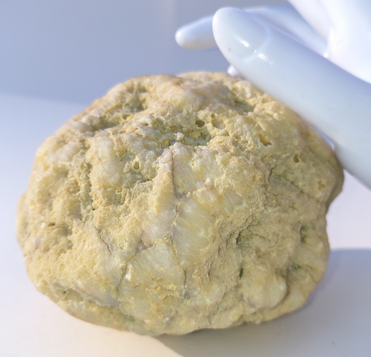 Exact 3.6 lb Unopened Quartz Geode, Natural Kentucky Geode, Display Specimen – Fishing Creek, KY