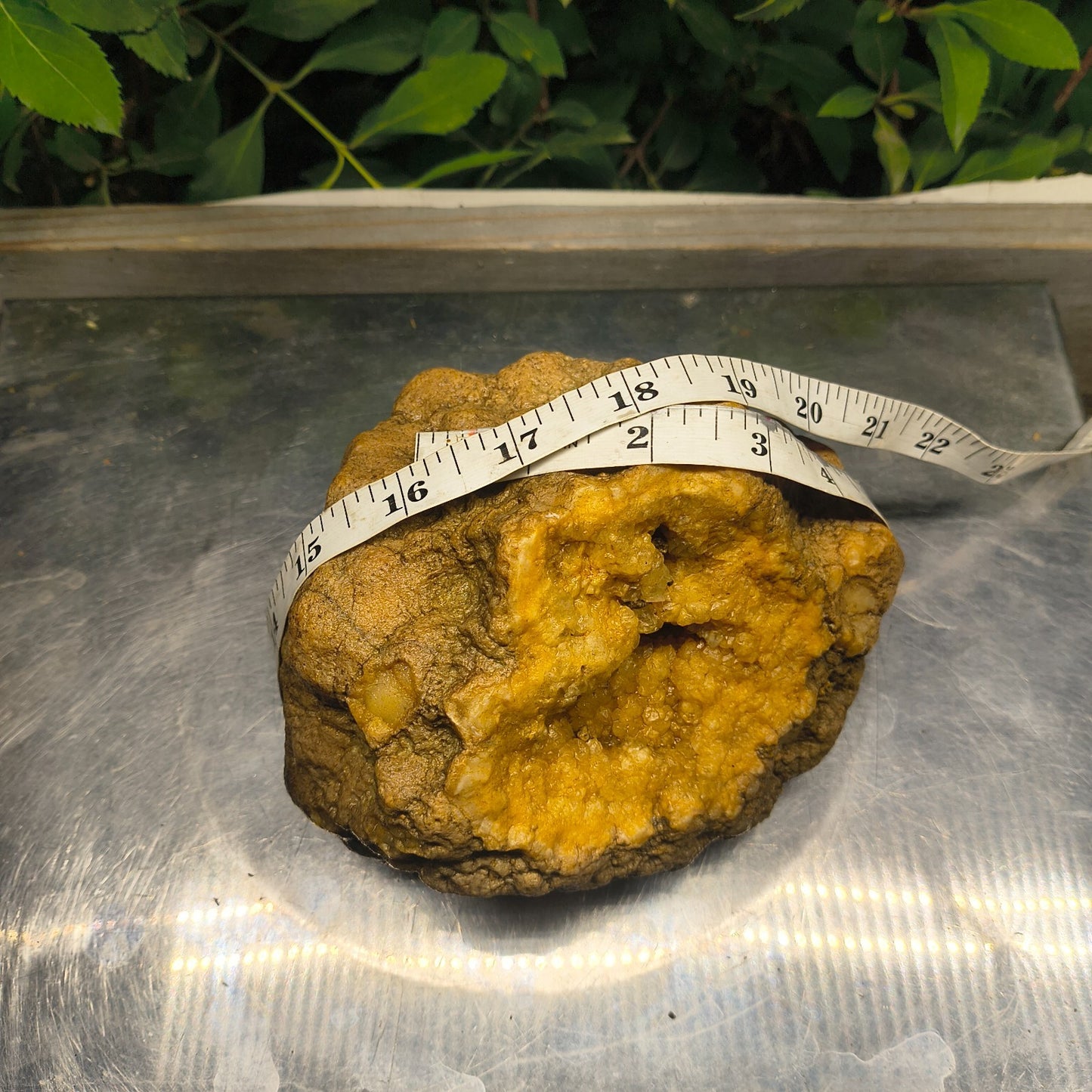 Kentucky Crystal Geode, Natural Druzy Quartz Geode, 4.53 lb Educational Specimen – Fishing Creek, KY