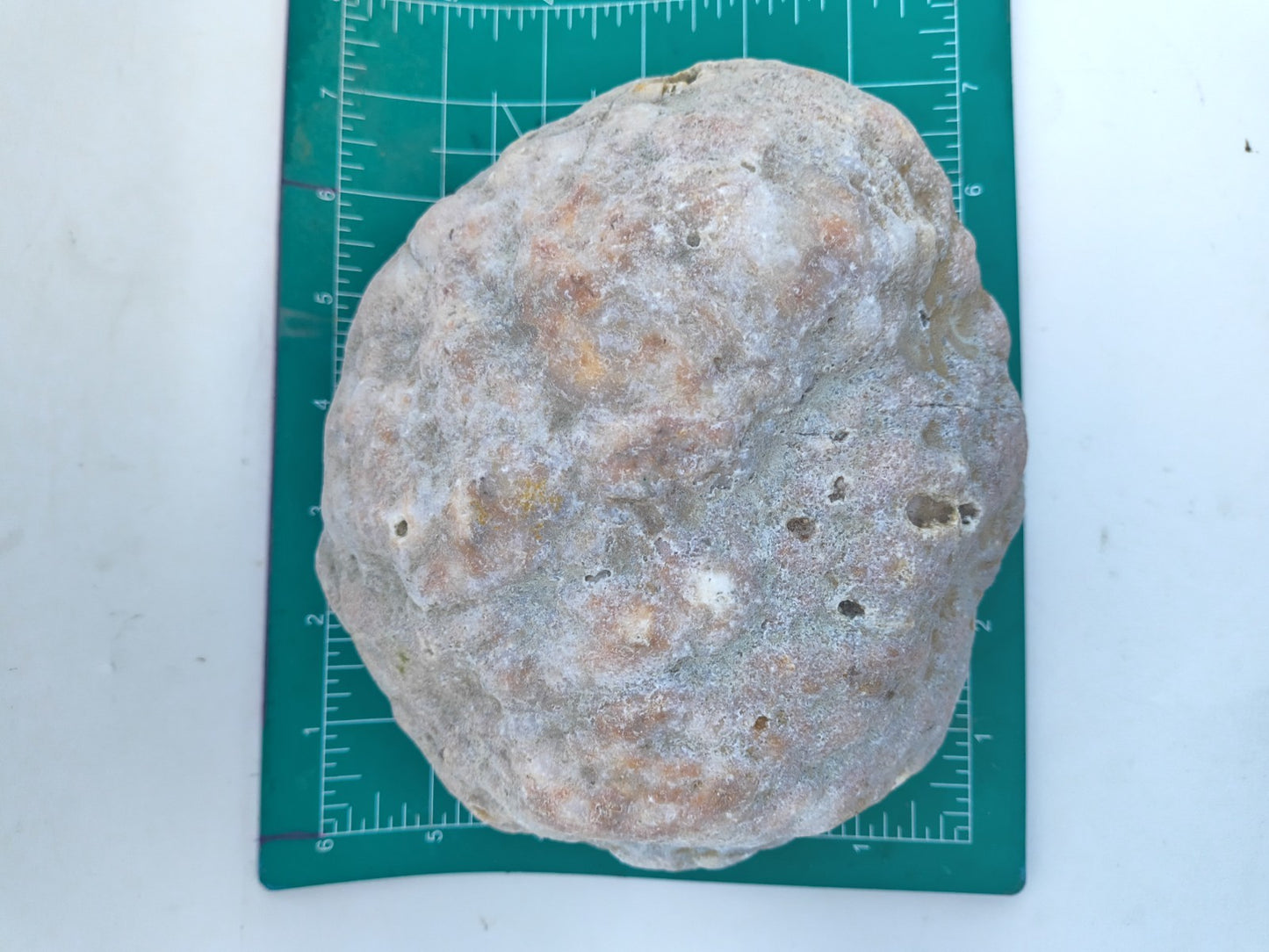 Exact Kentucky Rattler Geode, 4.09 lb Natural Unopened Crystal Geode – Fishing Creek, KY