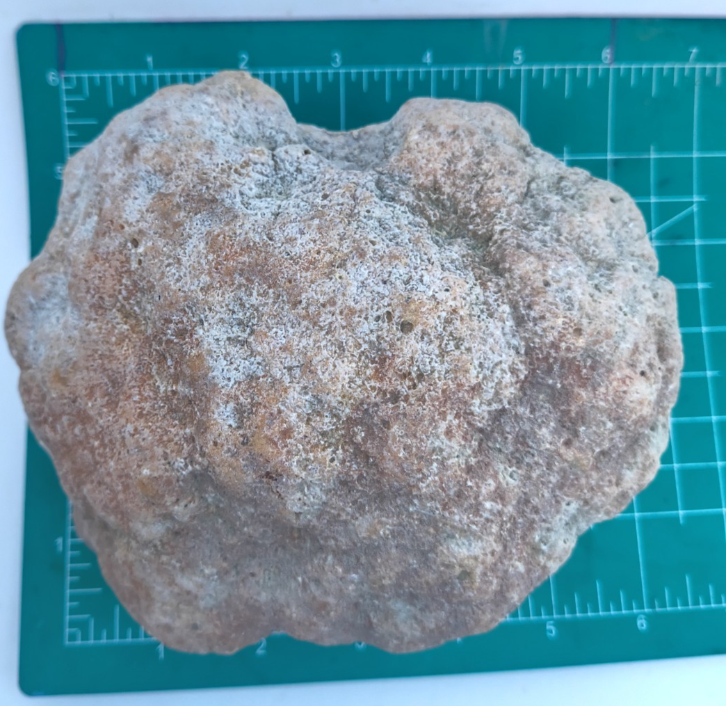 Exact Kentucky Rattler Geode, 4.09 lb Natural Unopened Crystal Geode – Fishing Creek, KY