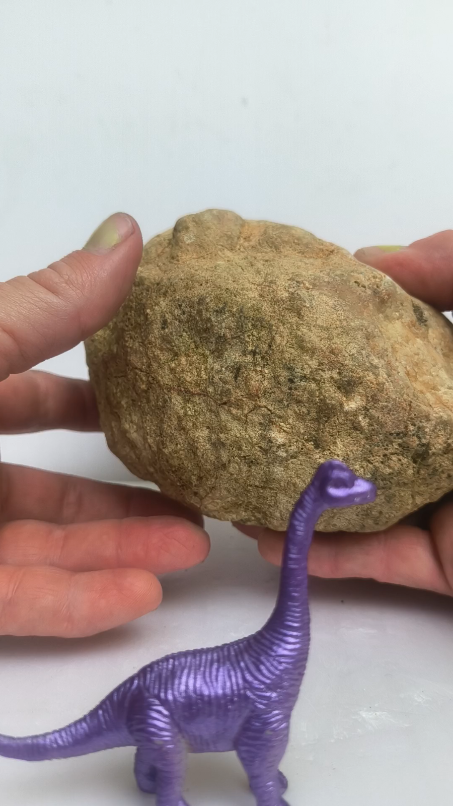 3.25 lb Kentucky Geode, Unopened Exact Specimen, Natural Whole Geode – Fishing Creek, KY