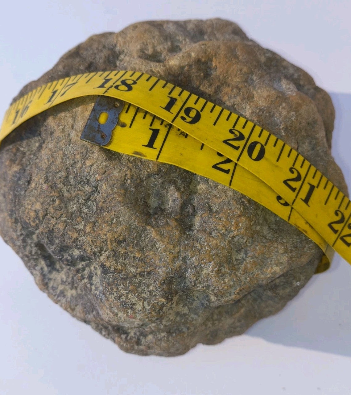 8 lb Whole Unopened Kentucky Geode, Raw Uncut, Break Your Own Crystal Specimen – Fishing Creek, KY