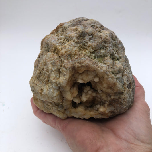 2.5 lb Kentucky Geode Rattler, Whole Natural Crystal Specimen, 5 Inch – Fishing Creek, KY