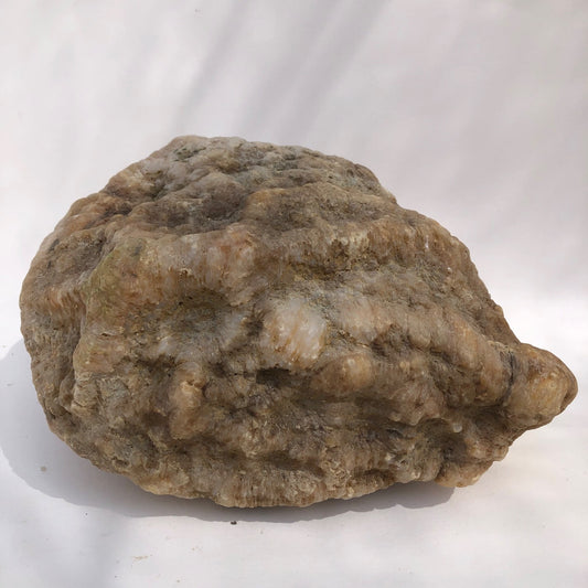 18.44 lb Kentucky Thunder Egg Geode, Lincoln County, Nodular Chalcedony, Uncut – Fishing Creek, KY
