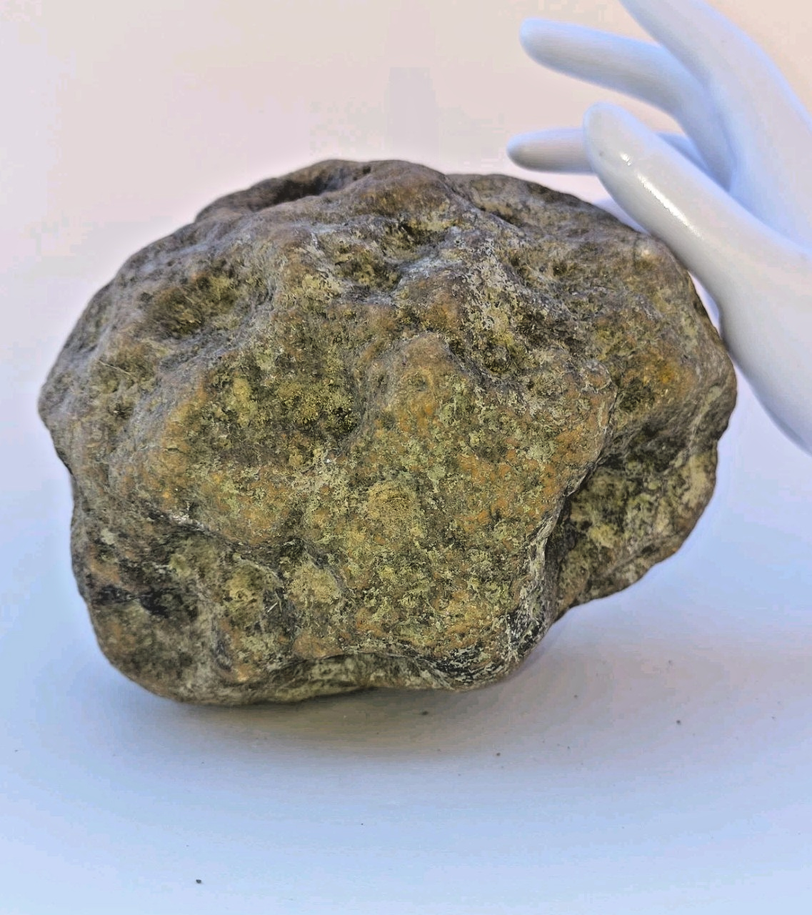 8 lb Whole Unopened Kentucky Geode, Raw Uncut, Break Your Own Crystal Specimen – Fishing Creek, KY