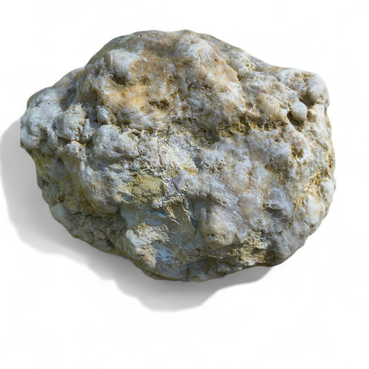 Exact Kentucky Geode, 23.6lb Natural Quartz Crystal Specimen – Fishing Creek, KY