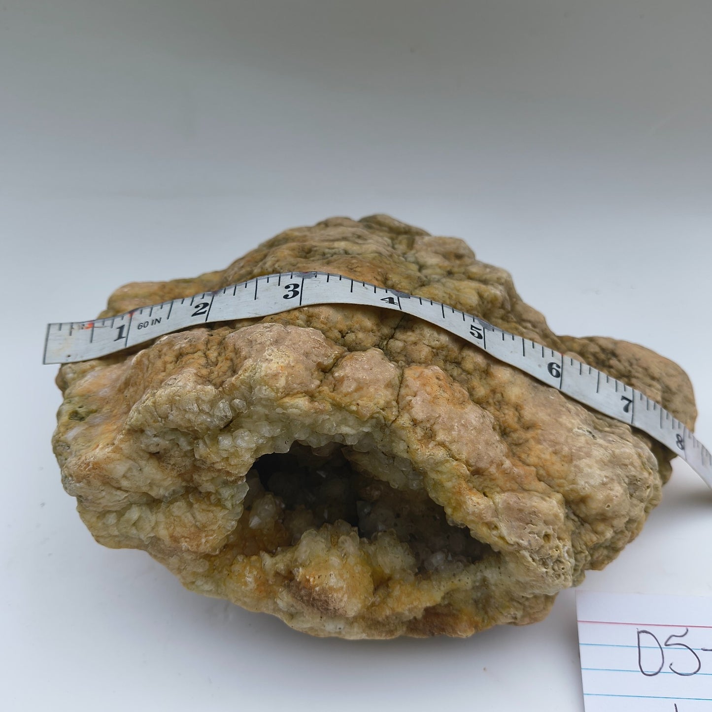 Open Face Kentucky Geode 6.16 lb Druzy Crystal Cavity