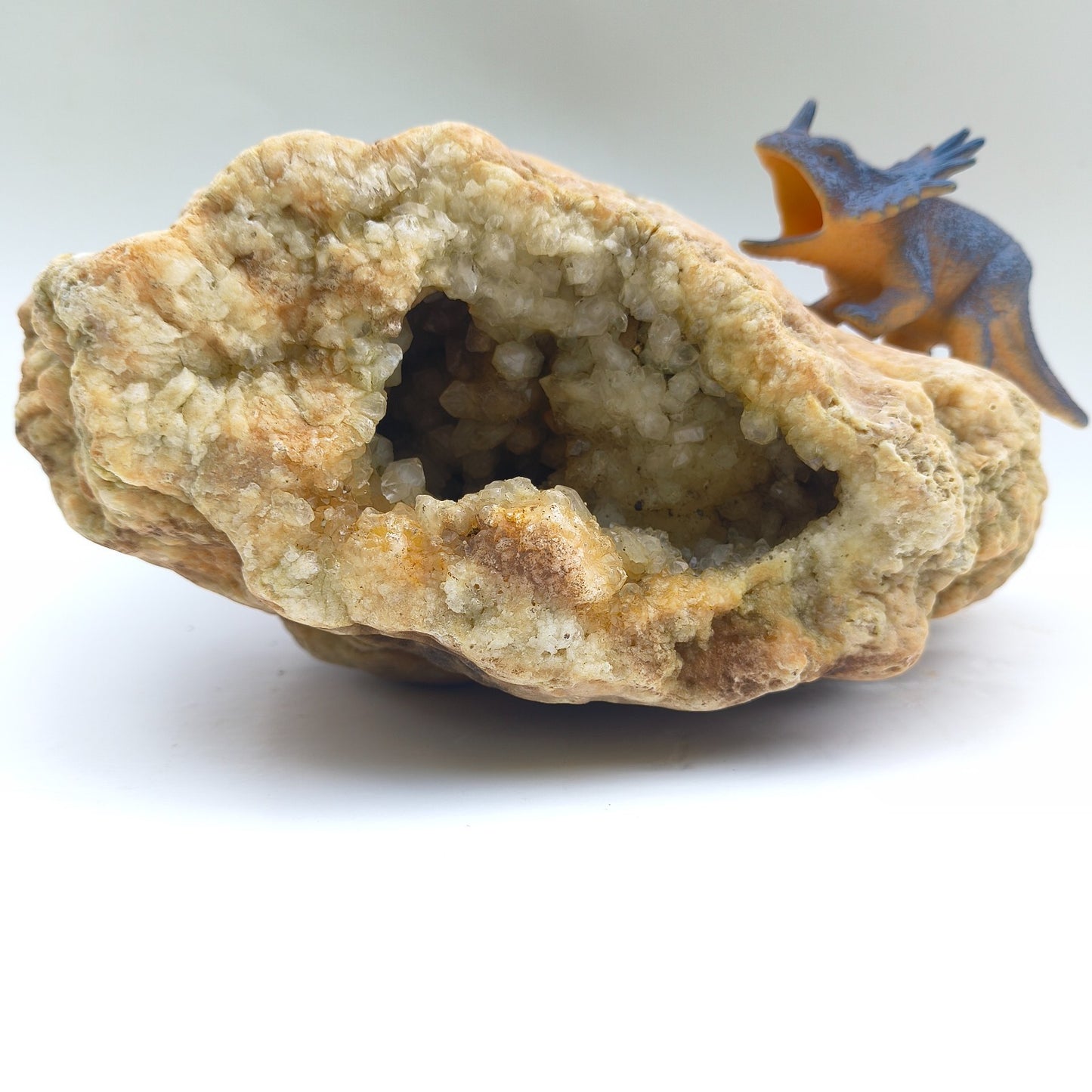 Open Face Kentucky Geode 6.16 lb Druzy Crystal Cavity