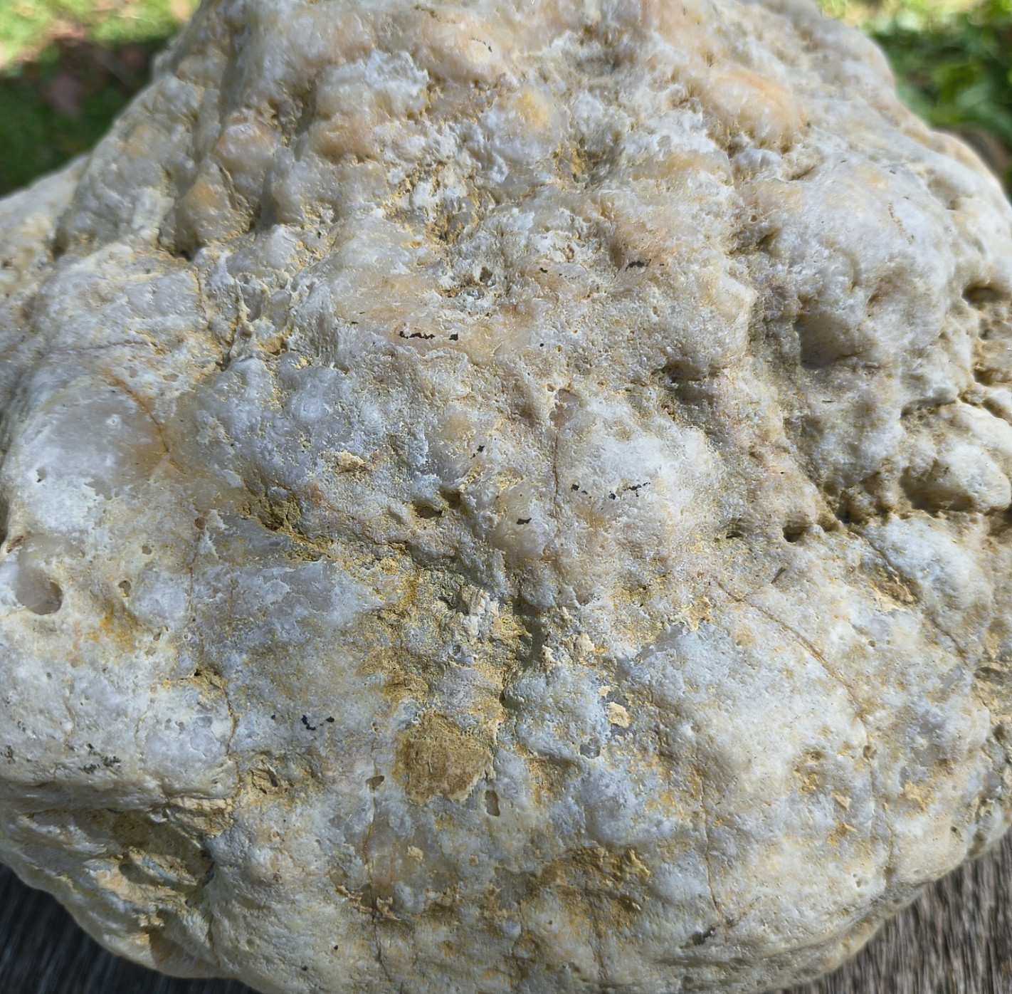 Exact Kentucky Geode, 23.6lb Natural Quartz Crystal Specimen – Fishing Creek, KY