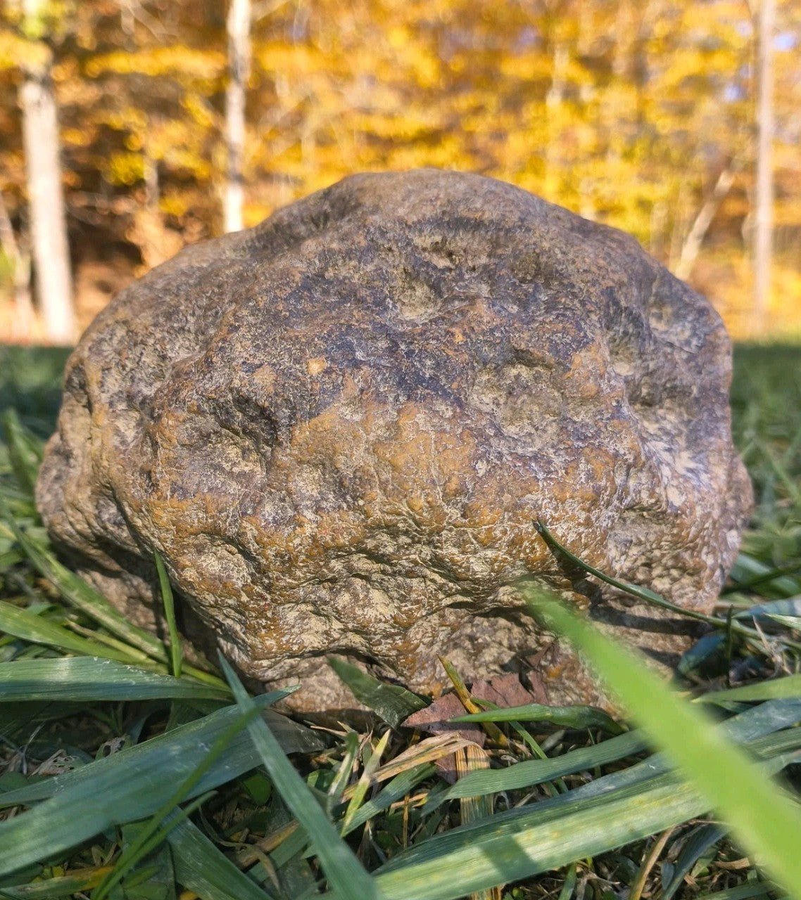 8 lb Whole Unopened Kentucky Geode, Raw Uncut, Break Your Own Crystal Specimen – Fishing Creek, KY