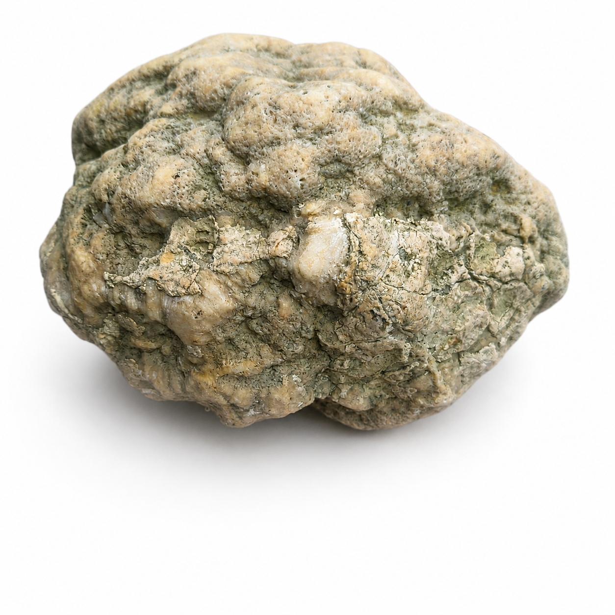 Kentucky Geode, Unopened Natural Quartz Crystal, Crack Your Own, 11.71 lb – Fishing Creek, KY