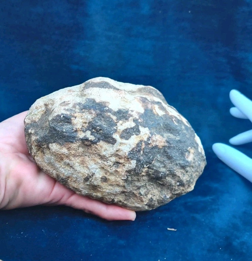 2+ lb Large Unopened Kentucky Geode, 3-5 Inch, Break Your Own Quartz Crystal – Fishing Creek, KY