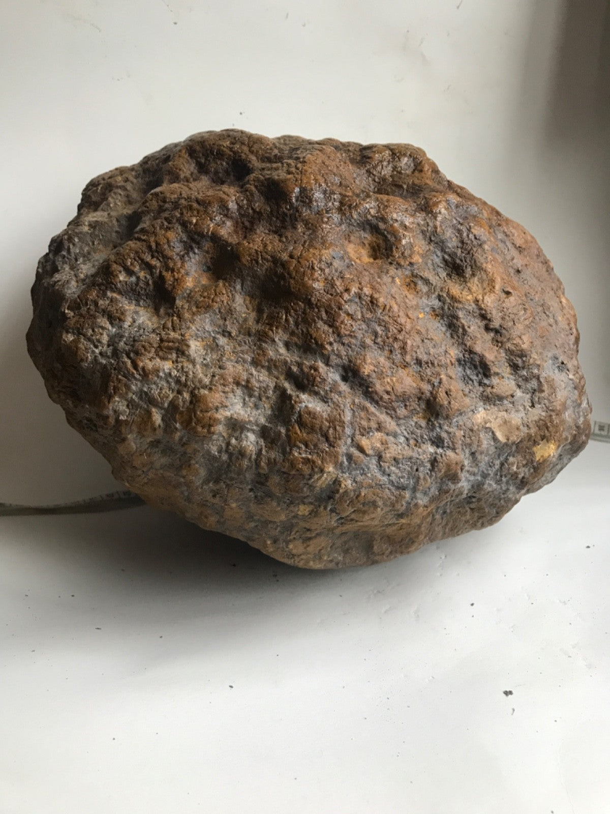 Exact Kentucky Geode, 35 lb Natural Crystal Nodule Specimen – Fishing Creek, KY