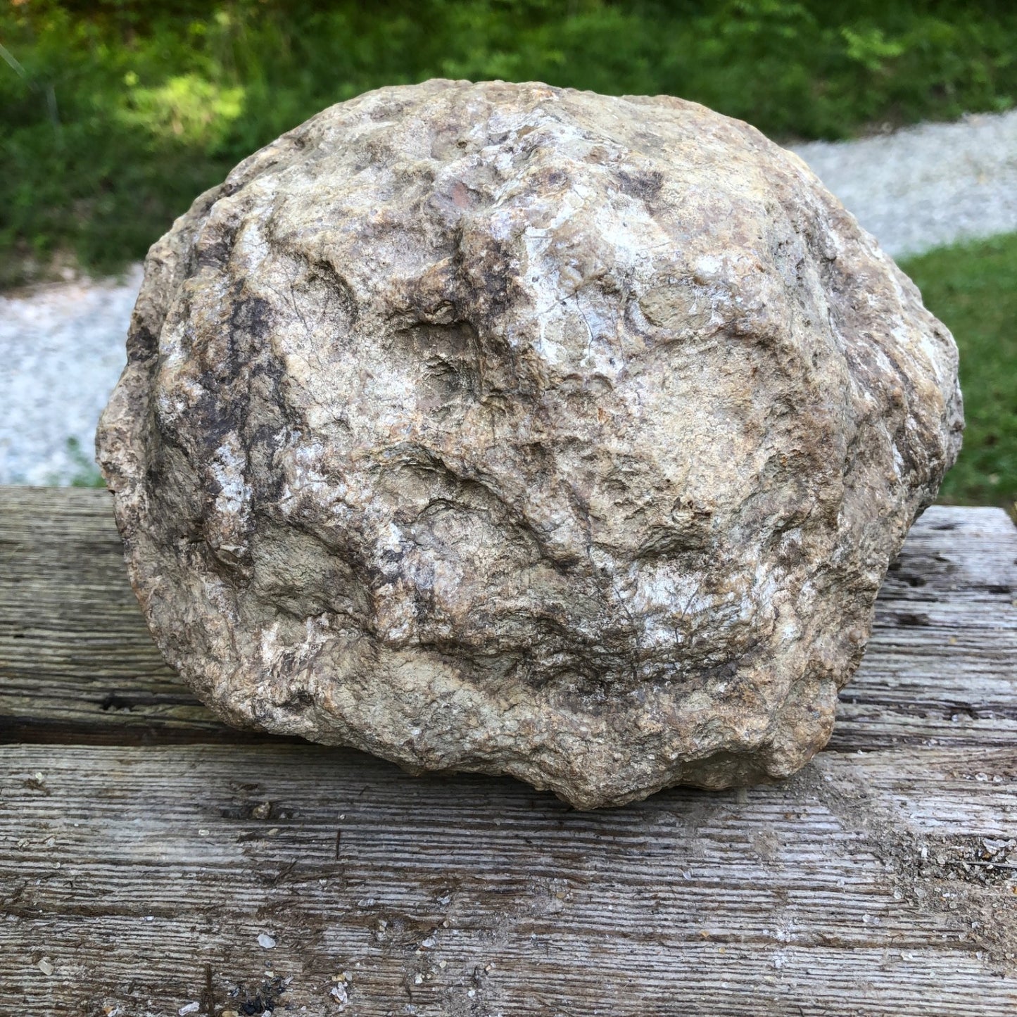 Large Kentucky Geode, 11.20 lb Unopened Natural Crystal Geode, Exact 9 Inch Specimen – Fishing Creek, KY