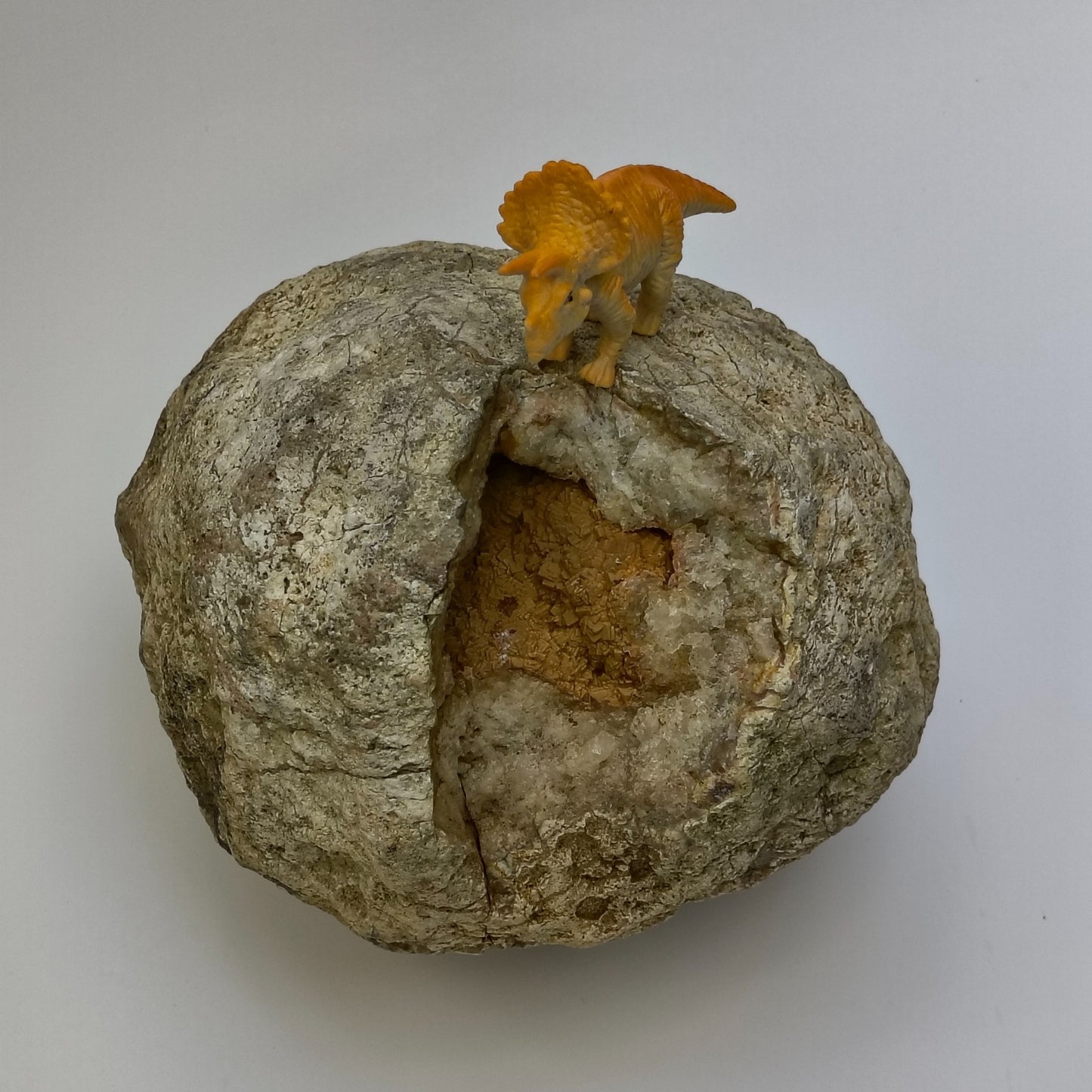 Kentucky Geode Crystal Opening, Natural Rock Specimen, Real Kentucky Geode – Fishing Creek, KY