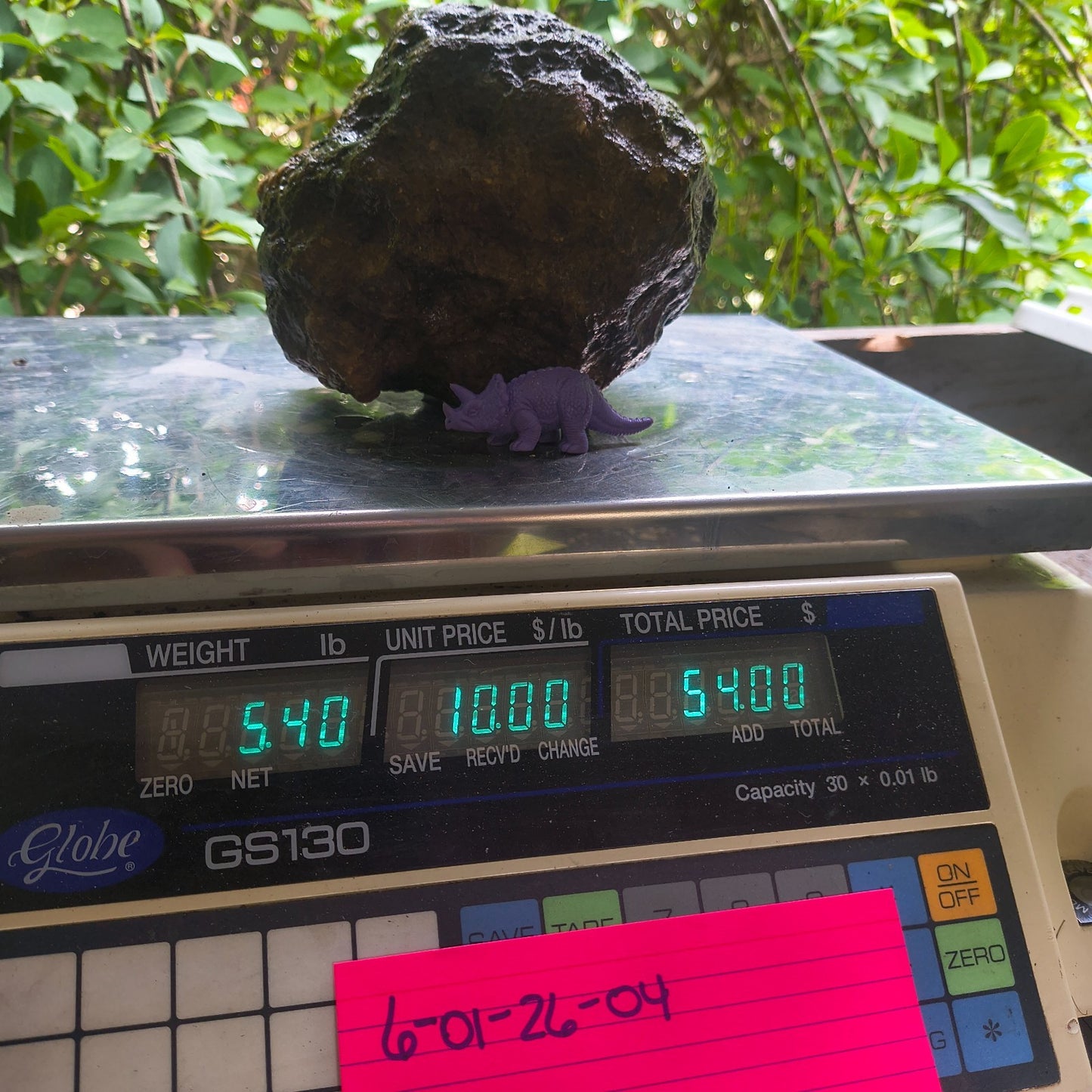 Unopened Kentucky Geode — 5.40 lb, 16" Circ, Bonus Mineral ID Card Included